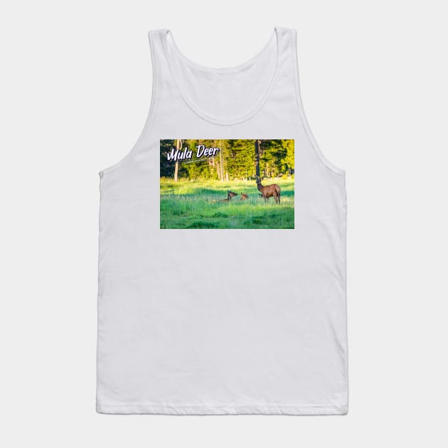 Mule Deer at Yellowstone Tank Top by Gestalt Imagery